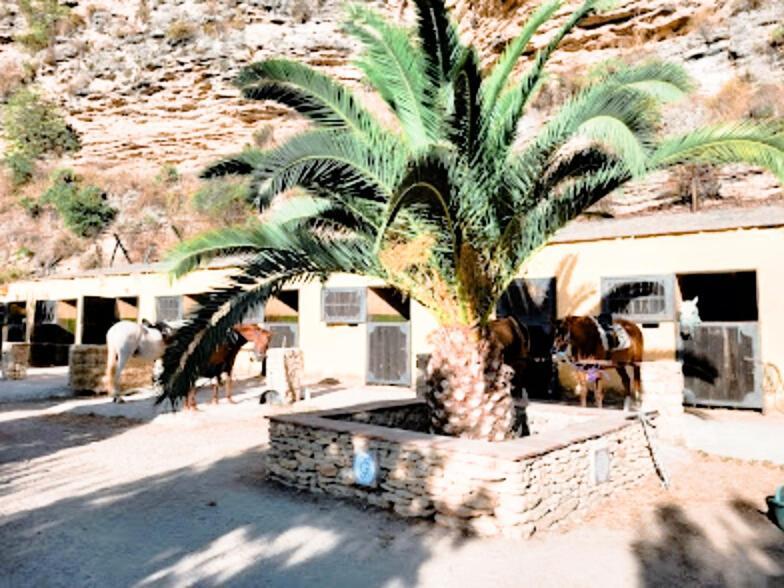 Hacienda Puerto De Las Muelas روندا المظهر الخارجي الصورة