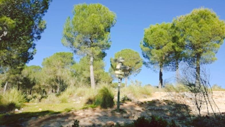 Hacienda Puerto De Las Muelas روندا المظهر الخارجي الصورة