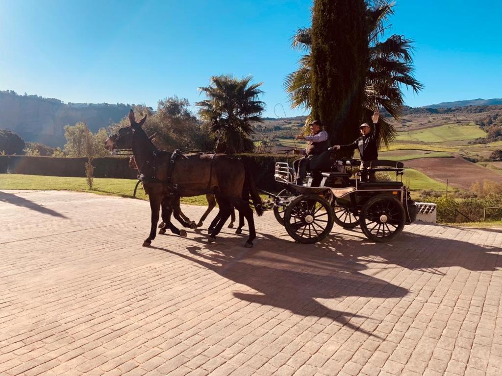 Hacienda Puerto De Las Muelas روندا المظهر الخارجي الصورة